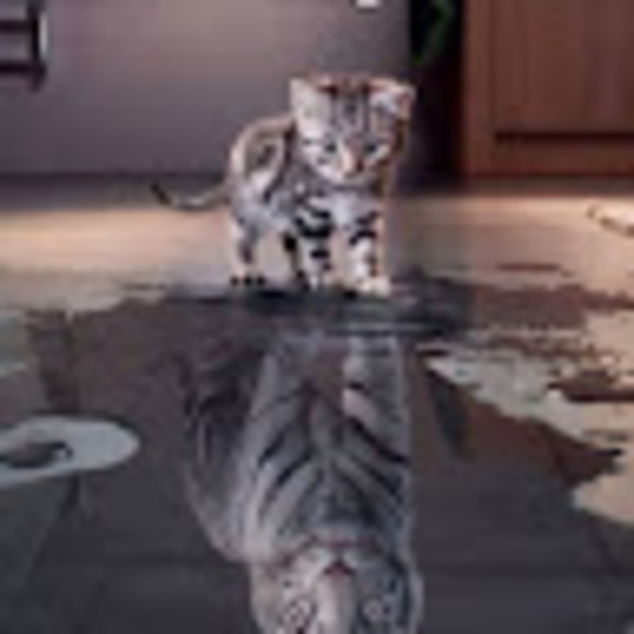 Meet your Posher, Joy - Picture 1 of 1